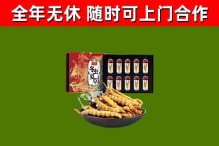 广陵回收冬虫夏草价格
